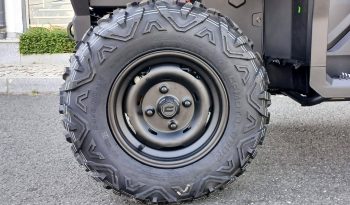 CFMOTO CFORCE C4 cheio