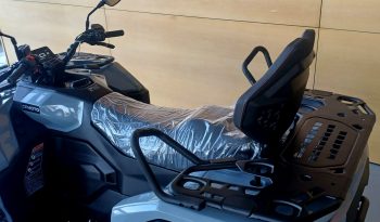 CFMOTO CFORCE C4 TOURING cheio