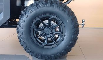 CFMOTO CFORCE C4 TOURING cheio